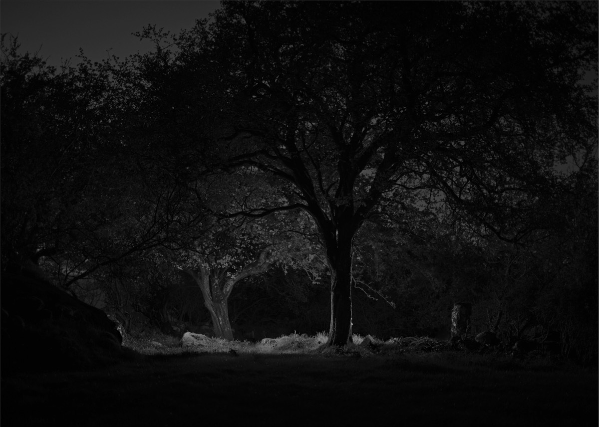 Stacks Image 497